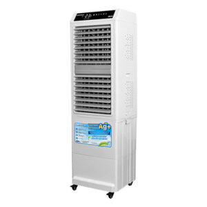 DM104